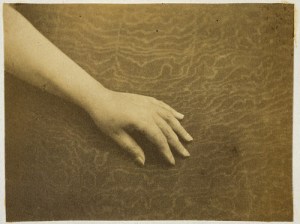 3333245919_5fbfe00033