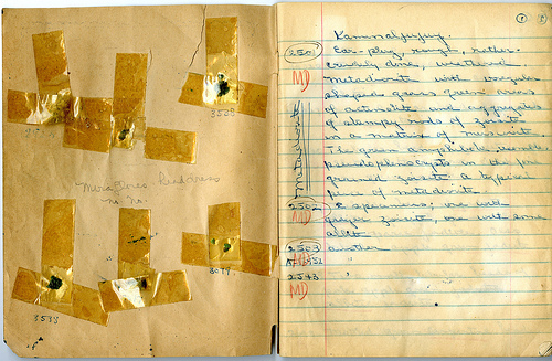 8158988352_6e0b8fffcd